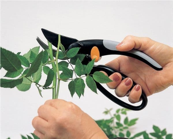 Fiskars 1001534