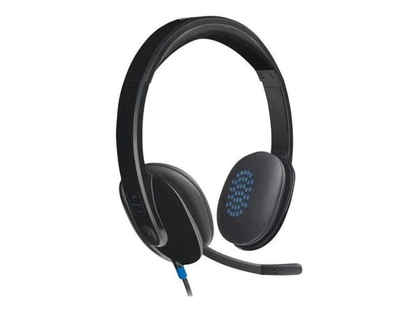 Logitech USB Headset H540 - Hodesett - on-ear - kablet
