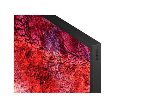 Sony 55"" FW-55BZ40PB