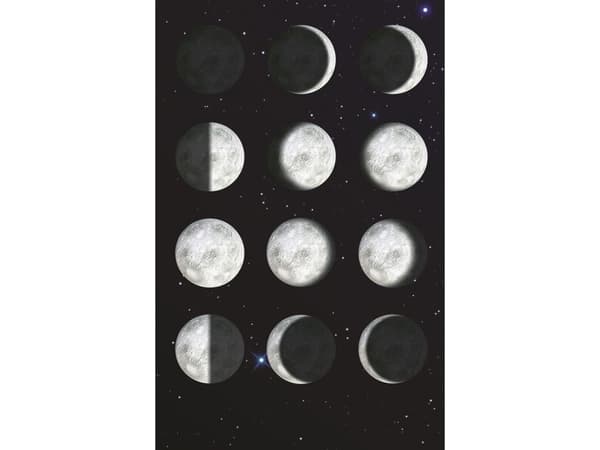Brainstorm My Very Own Moon