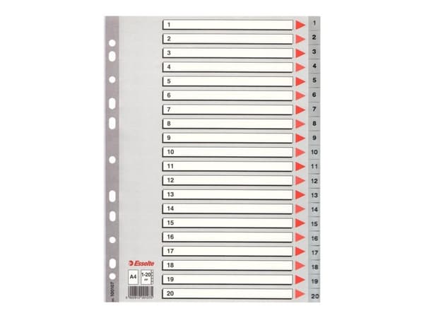 Esselte PP A4 rekisteri 1-20 harmaa - (10 sarjaa)