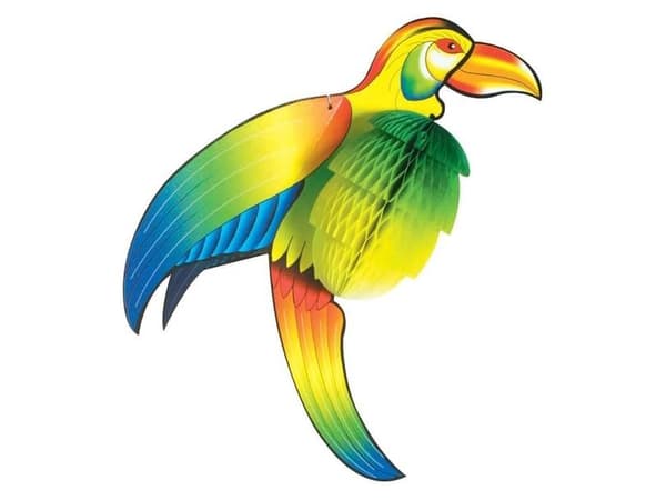 Toucan paperi kudos