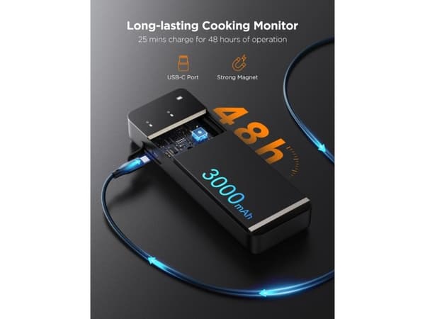 Govee Smart Wireless Meat Thermometer (2-Probes)