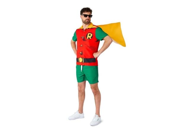 Robin sommarset