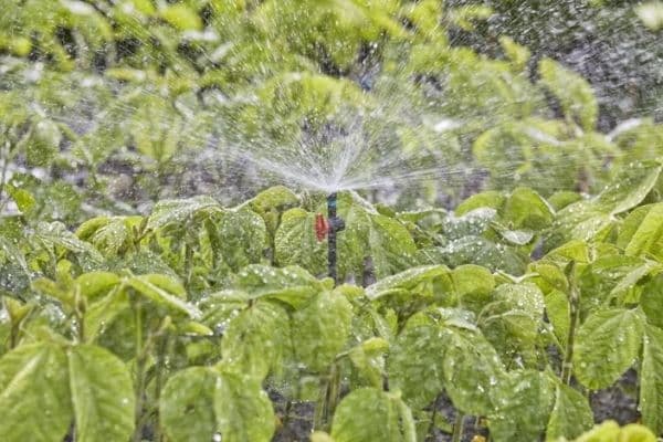 GARDENA MICRODRIP SPRINKLER DYSE 360°