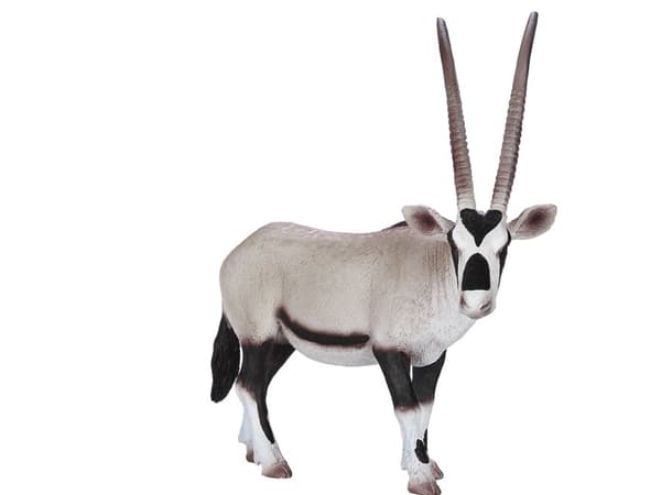 Mojo Oryx Antilop