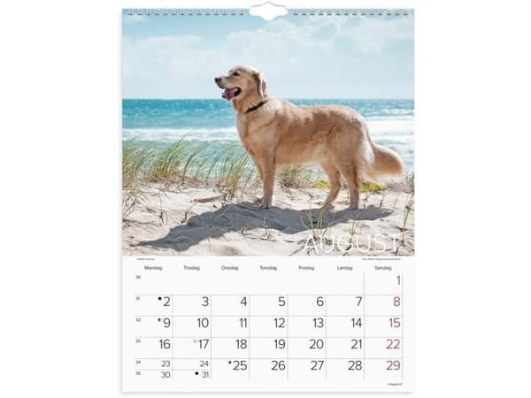 Väggkalender Hundar 2027