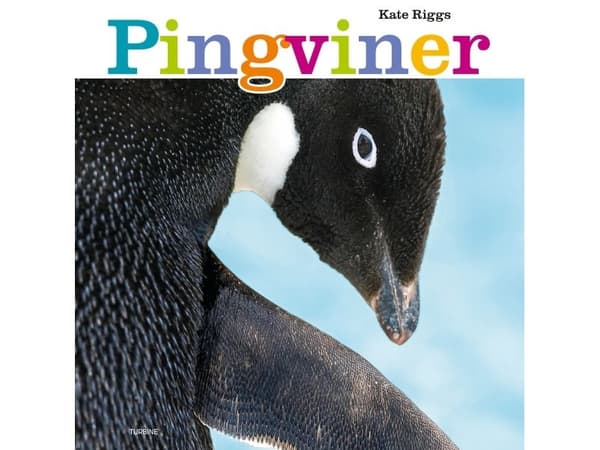 Pingviner | Kieli: Tanska