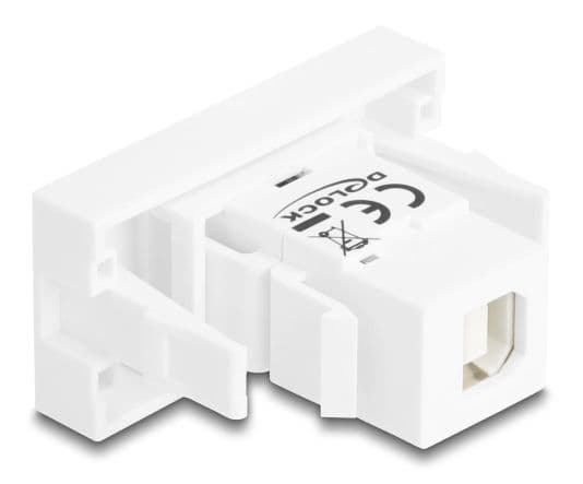 Delock - Easy 45 - snäppbar modul - USB 2.0 - USB Typ B - 1 grupp - vit