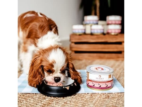 PERRO Junior Pork with carrot - våtfoder för hund - 410 g