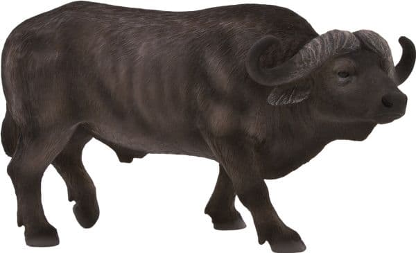 Mojo Cape Buffalo