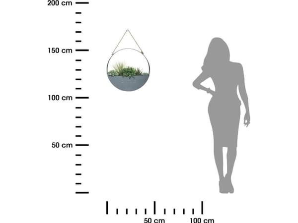 Atmosphera hängande krukväxt 44 cm