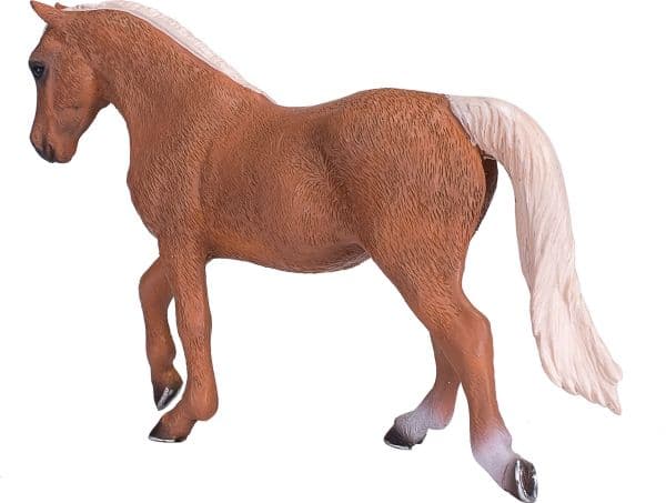 Mojo Palomino Morgan ori