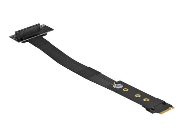Delock - Gränssnittsadapter - U.2 NVMe - M.2 Card