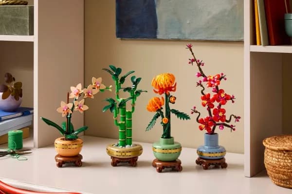 LEGO Botanicals 10343 Miniorkidea