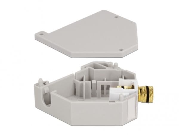 Delock - DIN-skinnemonteringsadapter for keystone-jakk - Binding Post - grå, hvit