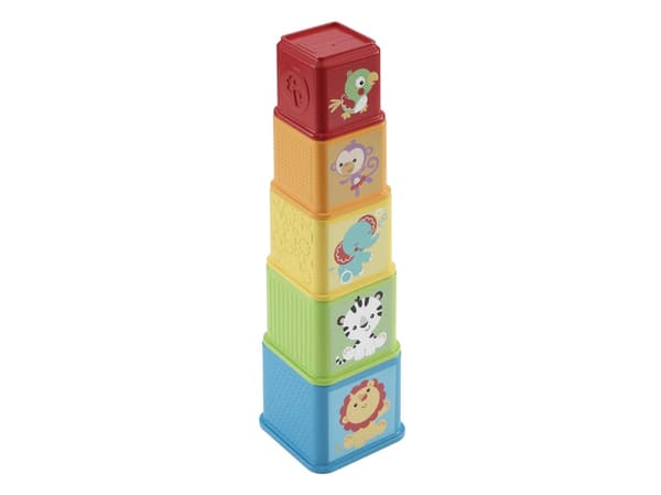 Fisher Price Stack & Explore Blocks