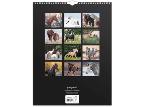 Väggkalender Hästar 2027