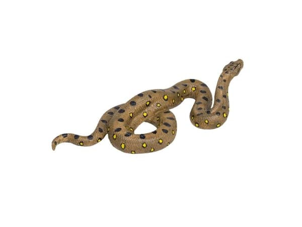 Mojo vihreä Anaconda