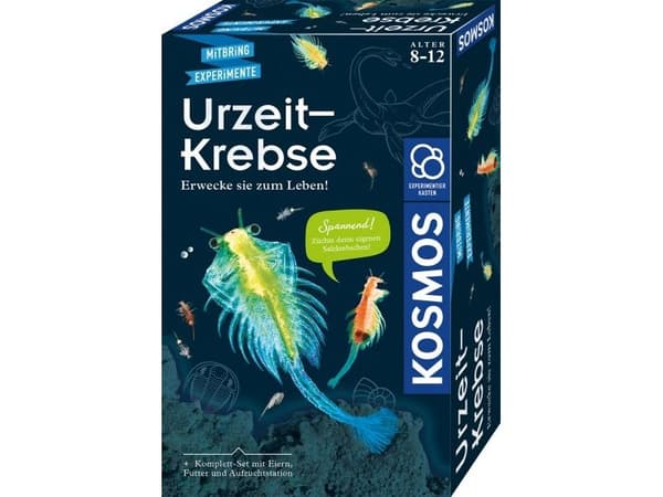 Kosmos 65787, Förstärkt verklighet, 8 År, Multifärg
