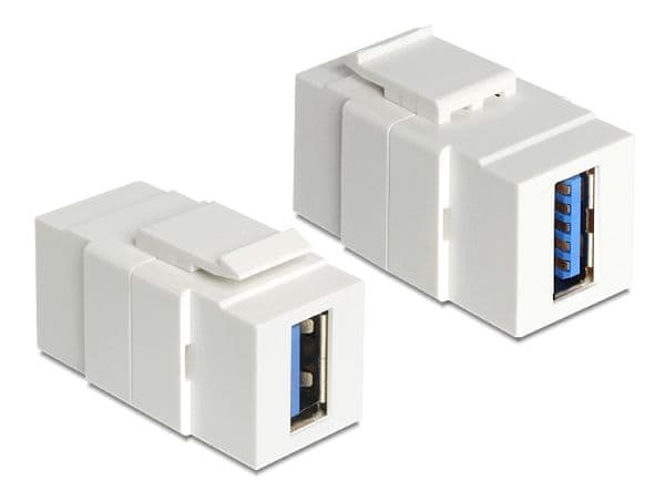 Delock - Modulär insats (koppling) - SuperSpeed USB