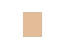 L'Oreal True Match Powder Pressed Powder 3w Warm Undertone 9g