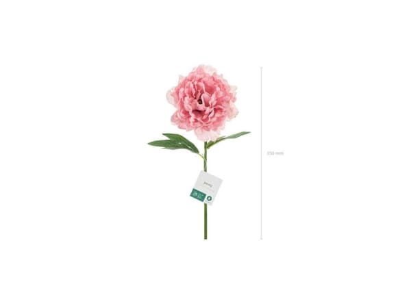 Rosa Bonderose, 1 stk
