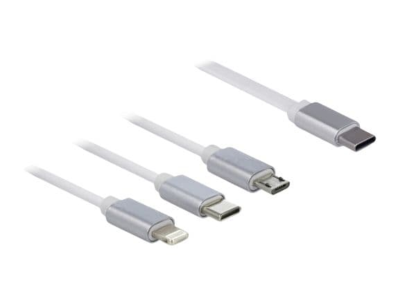 DeLOCK 85844, 0,98 m, USB C, USB C/Micro-USB B/Lightning, USB 2.0, Hopea, Valkoinen