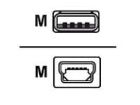 Zebra USB-A to USB mini-B Cable, 1 m, USB A, Mini-USB B, Uros/uros