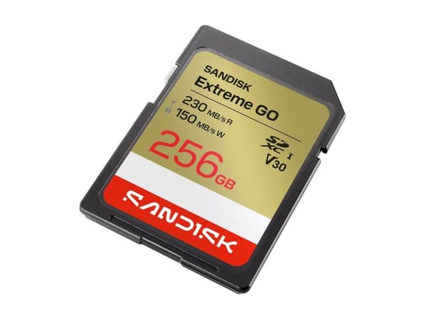 SANDISK SD Extreme GO 256GB