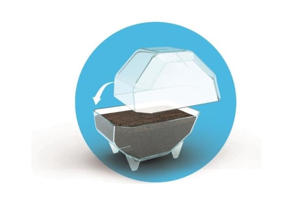 Clementoni Mini-terraariokarhu