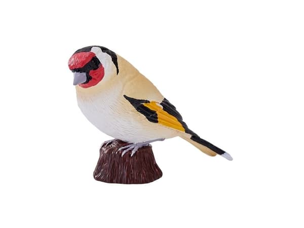 European Goldfinch
