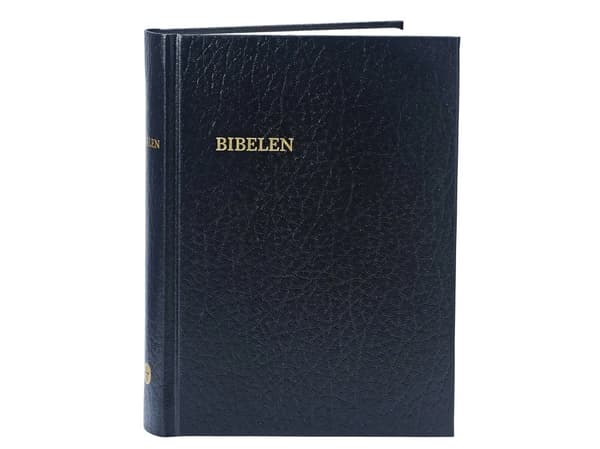 Bibelen – lite format kirkebibelen