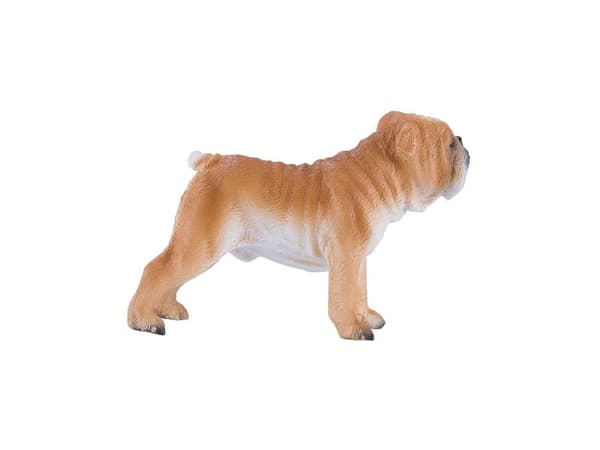 Mojo engelsk bulldogg
