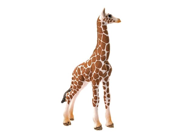 Schleich Wild Life - Giraffe Calf