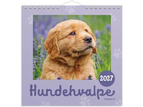 Väggkalender mini Hundvalpar 2027