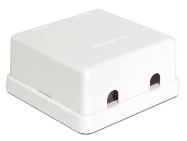 Delock Keystone Surface Mounted Box - Chassi med modulär insättning - vit - 2 portar