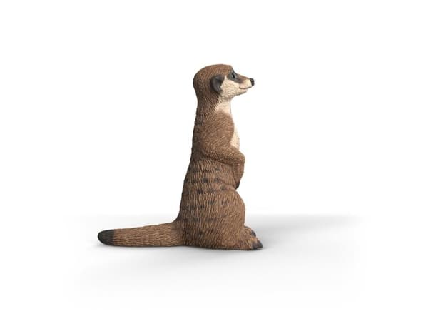 Schleich Meerkat