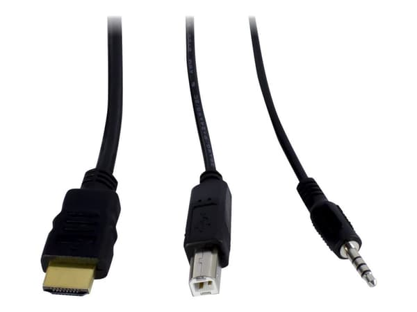 Argus KVM AS-41HA - KVM / lydsvitsj - 4 x KVM/lyd - stasjonær