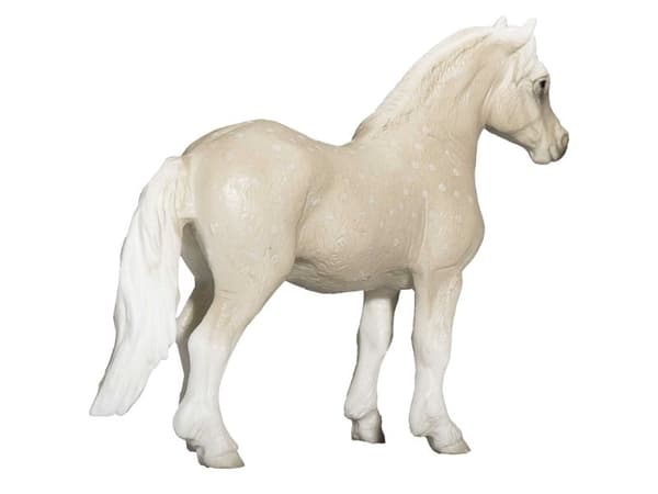 Mojo Welsh Pony