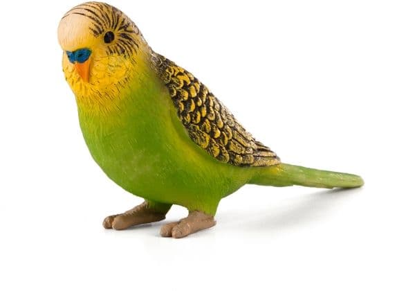 Mojo Budgie, vihreä