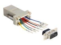 DeLOCK 65462, Sub-D 9, RJ45, Harmaa