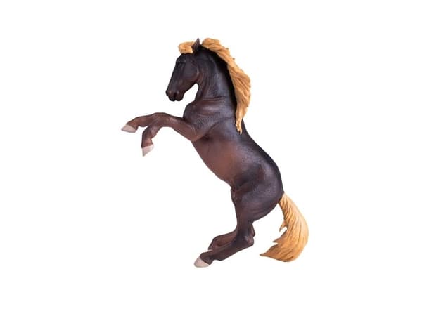 Mojo Brumby tamma