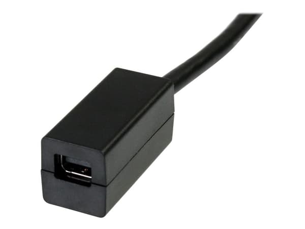 StarTech.com 6in DisplayPort to Mini DisplayPort Video Cable Adapter (DP2MDPMF6IN) - DisplayPort-sovitin - DisplayPort (han) til Mini DisplayPort (...
