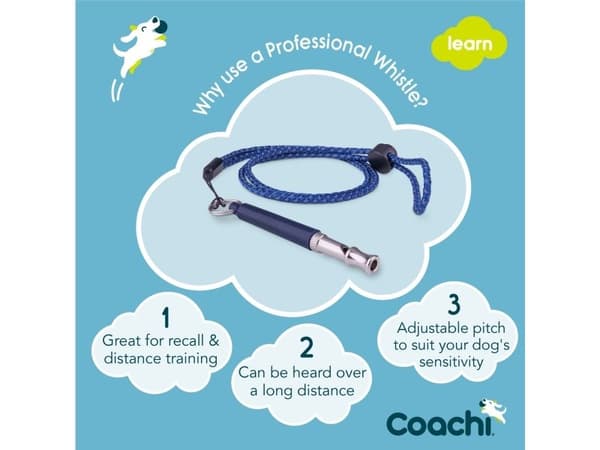 Coachi Professional visselpipa Navy