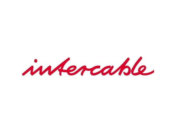 Intercable 107424 Sähkökaapin avain