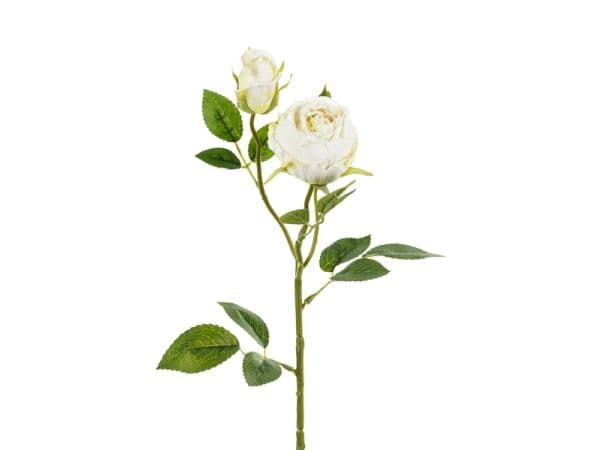 Ljus krämrosa, 1 st