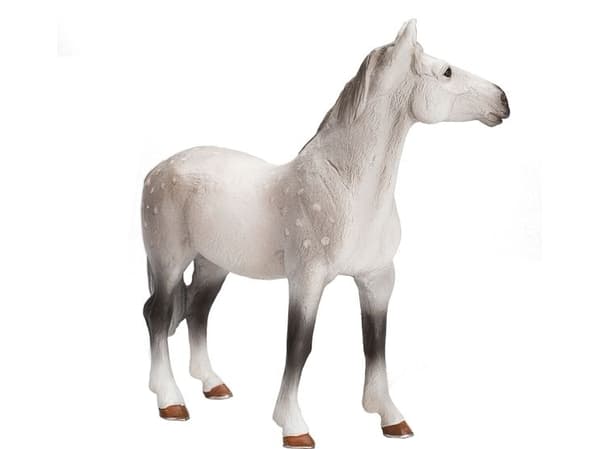 Mojo Orlov Trotter Hest