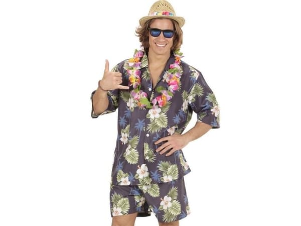 Hawaii skjorte og shorts