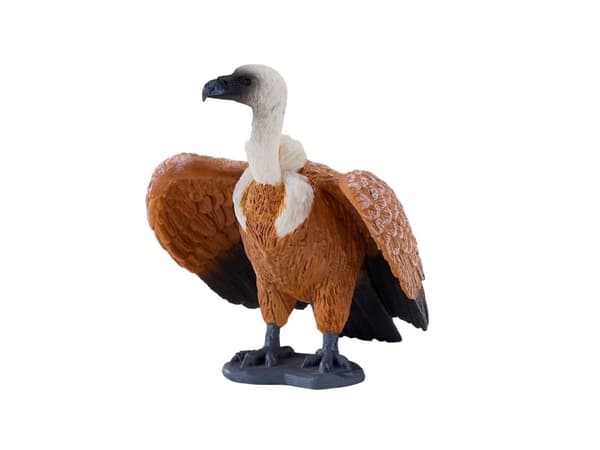 Griffon Vulture